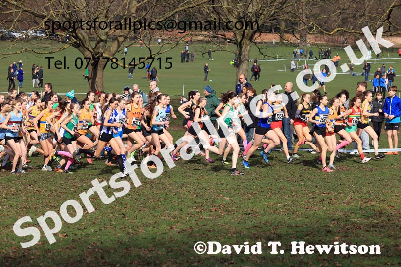 Womens Under-17s, 2024 CAU Inter Counties Cross Country Champs., Wollaton Park, Nottingham. Photo: David T. Hewitson/Sports for All Pics